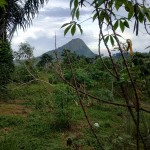 0da508b3-3589-4429-86f9-60e6e088c28f