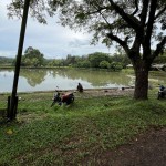 0eeaecfd-f11d-40b6-a5c4-9005609b0a51