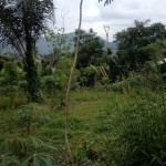 338a76f5-12ce-4d0c-8614-bdc29bb2f38e