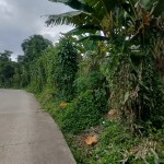 36a36c41-07ee-47a4-837b-26f5bac61958