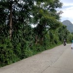 443cde9e-1d98-4828-b162-2bfd60b53dba