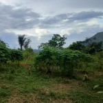 5b164d11-974a-43d3-a569-f5a04f60c8e8