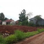 8f081a38-cc1b-4589-8748-83bb3415b497