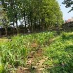 A7336E24-A56B-4A74-85EC-32CE71D8C7FE