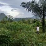 eacadc59-0473-440e-be09-11b7256c84eb