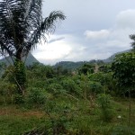 ed45d9d6-0903-401a-84e5-79cb9a3ee32e