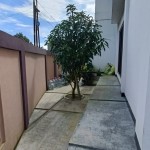 3c6df13c-5530-4f63-b618-ddcfaa5cea77