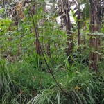 50320bec-d573-4491-afe7-4d0a4d5d4979