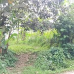 72dec85e-77fe-4f93-ae08-4a3c30795b01