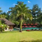 WhatsApp Image 2026-02-12 at 18.21.35