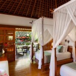 WhatsApp Image 2026-02-12 at 18.21.39 (3)