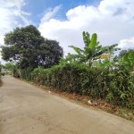 WhatsApp Image 2026-04-16 at 15.29.01