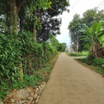 WhatsApp Image 2026-04-16 at 15.29.02 (1)