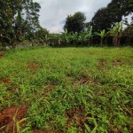 WhatsApp Image 2026-04-16 at 15.29.02