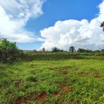 WhatsApp Image 2026-04-16 at 15.29.03 (1)