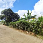 WhatsApp Image 2026-04-16 at 15.29.03