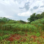 WhatsApp Image 2026-04-16 at 15.29.03 (3)