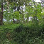 a6a1d25b-a4f6-4533-9c4f-92dbd47bb715