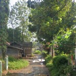 IMG-20260615-WA0018