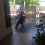 1000494350