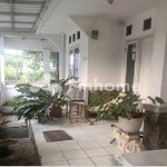 bintang 3 bogor raya pinhone